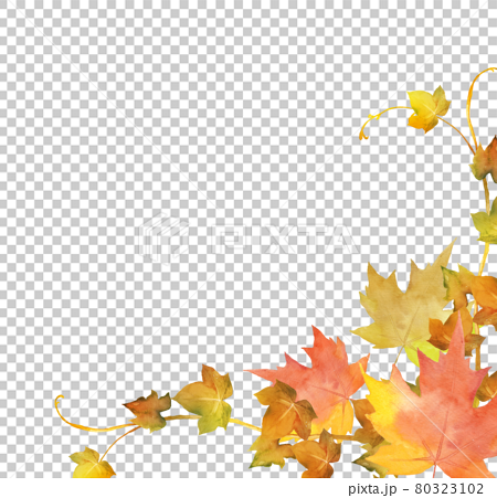 秋の紅葉のデコレーション　水彩イラスト 80323102