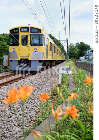オレンジ色のキスゲの花と西武鉄道2000系電車 80323140