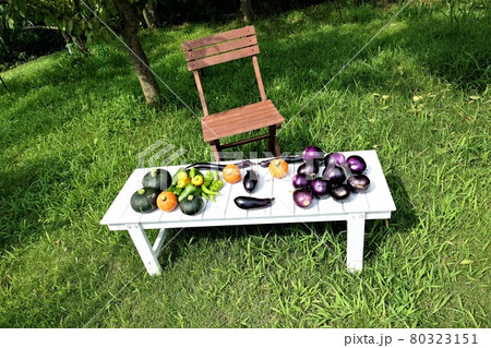 夏野菜7月ミニカボチャ　パプリカ　ナス　パプリカ　万願寺 80323151