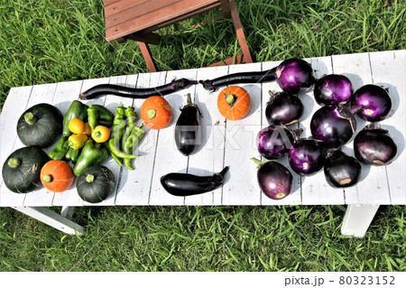 夏野菜　ミニカボチャ　パプリカ　ナス　パプリカ　万願寺 80323152