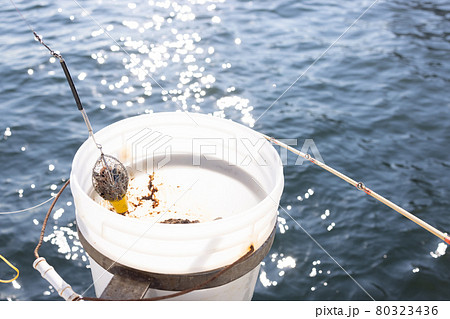 アジ釣りのコマセの写真素材