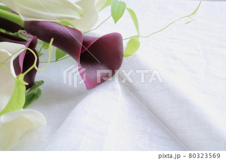 シックな白黒カラーとグリーンの夏のブーケ シックな白黒カラーとグリーンの夏のブーケ 80323569