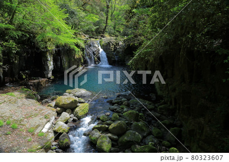 新緑の菊池渓谷竜ヶ渕の青く澄んだ水の景色 80323607
