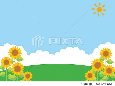 ヒマワリと青空の背景のイラスト素材