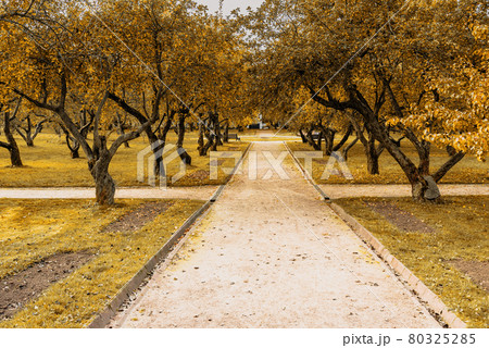 Kolomenskoye park on autumn day. Moscow Kolomenskoye park on autumn day. Moscow 80325285