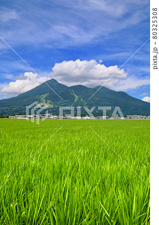 田園と磐梯山（福島県・猪苗代町） 80325308