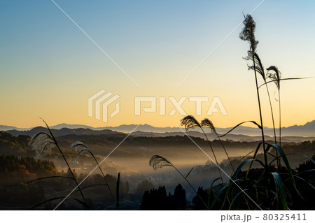 朝焼けとすすき 80325411