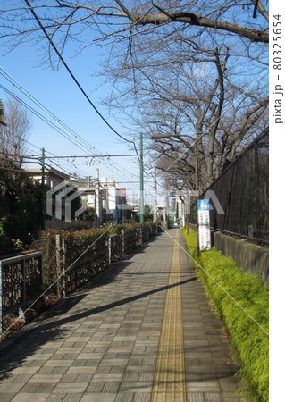 荒川二丁目停留場付近 荒川二丁目停留場付近 80325654