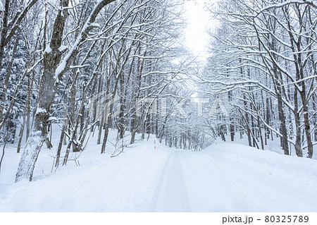 里山の雪道（恩原湖周辺） 80325789