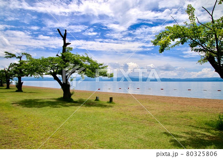 夏の志田浜・猪苗代湖（福島県・猪苗代町） 80325806