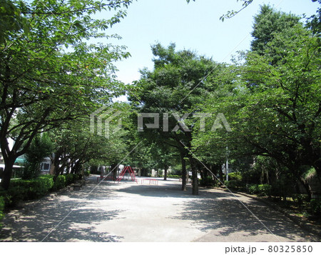 待乳山聖天公園 待乳山聖天公園 80325850