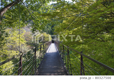 【山梨県道志村】野原吊橋 80327500