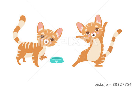 Cute Ginger Striped Kitten as Furry Domestic Pet with Feeding Bowl Vector Set 80327754