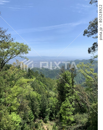 愛宕山でハイキング 愛宕山でハイキング 80328922