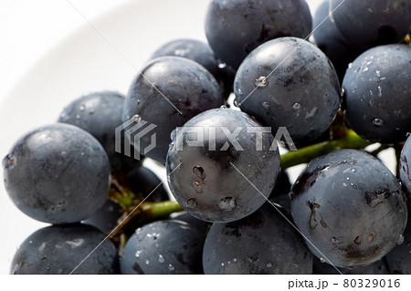 ぶどう(種無しピオーネ)のアップ。 ぶどう(種無しピオーネ)のアップ。 80329016