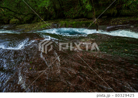 早朝の菊池渓谷の美しい風景 早朝の菊池渓谷の美しい風景 80329425