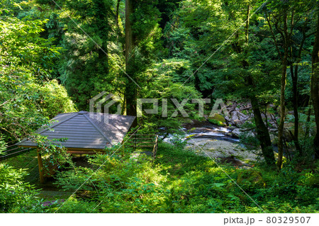 早朝の菊池渓谷の美しい風景 早朝の菊池渓谷の美しい風景 80329507