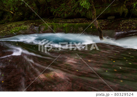 早朝の菊池渓谷の美しい風景 早朝の菊池渓谷の美しい風景 80329524