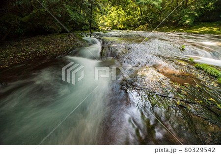 早朝の菊池渓谷の美しい風景 80329542