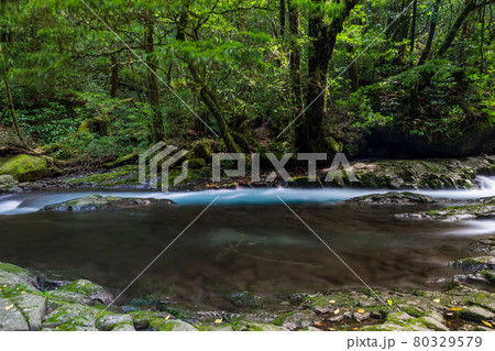 早朝の菊池渓谷の美しい風景 早朝の菊池渓谷の美しい風景 80329579