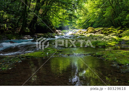 早朝の菊池渓谷の美しい風景 早朝の菊池渓谷の美しい風景 80329618