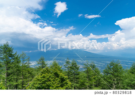 八ヶ岳ビューポイント(入笠山) 八ヶ岳ビューポイント(入笠山) 80329818