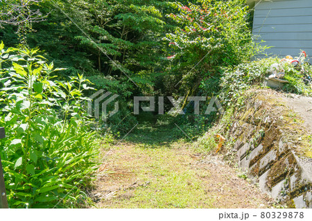 日連山登山口(日連アルプス・神奈川県相模原市) 日連山登山口(日連アルプス・神奈川県相模原市) 80329878