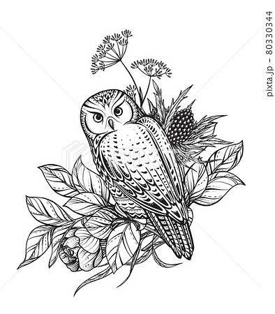 Vector illustration of black and white owl, flowers and herbs, branches isolated on white background. Mystical totem symbol. 80330344