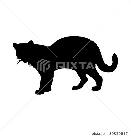 Ocelot Silhouette 80330617
