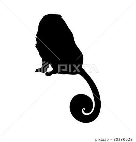 Lion Tamarin Ape Silhouette Lion Tamarin Ape Silhouette 80330628