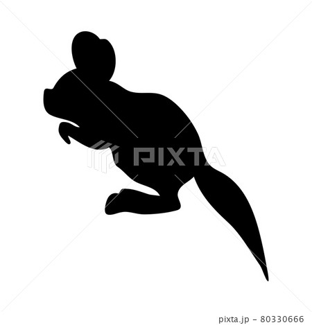 Fat-Tailed Jerboa Silhouette 80330666