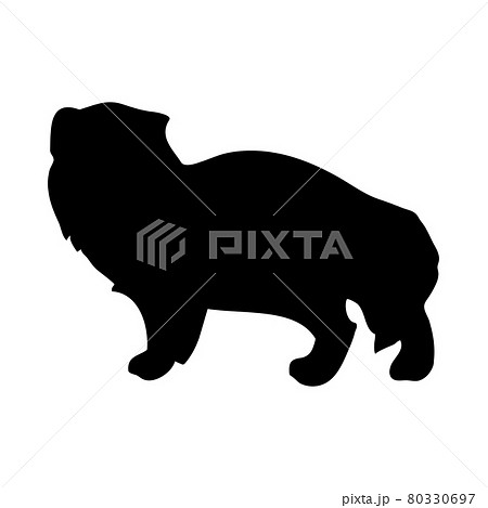 Arctic Fox Silhouetteのイラスト素材
