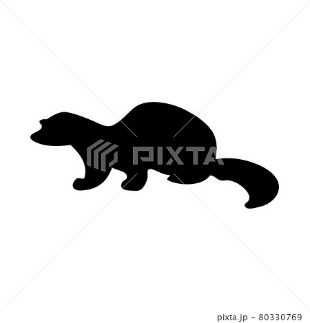 American Mink Silhouette American Mink Silhouette 80330769