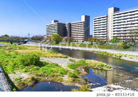 鴨川と塩小路橋 鴨川と塩小路橋 80331416