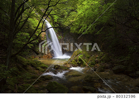 権現滝　滝畑四十八滝（大阪府河内長野市滝畑） 80332596