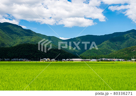 山並みの風景（福井県　北陸自動車道 南条SA付近） 80336271