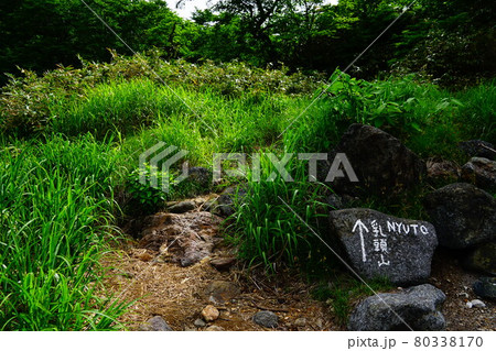 乳頭山　一本沢コース　乳頭山方面への道標 80338170