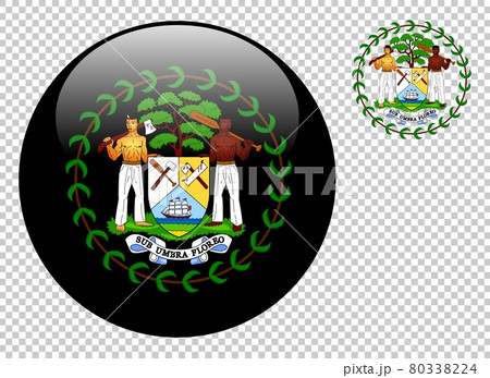 Coat of arms of Belize vector illustration on a transparent background 80338224