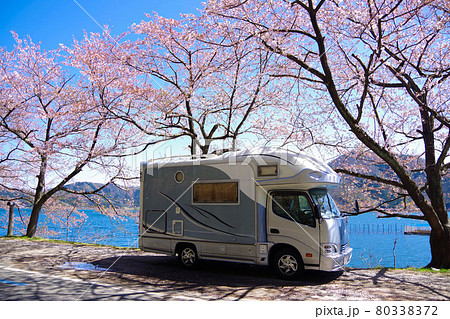 キャンピングカーで桜 お花見 琵琶湖北端の海津大崎 キャンピングカーで桜 お花見 琵琶湖北端の海津大崎 80338372