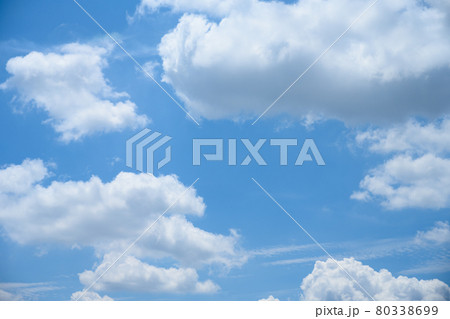 空 80338699