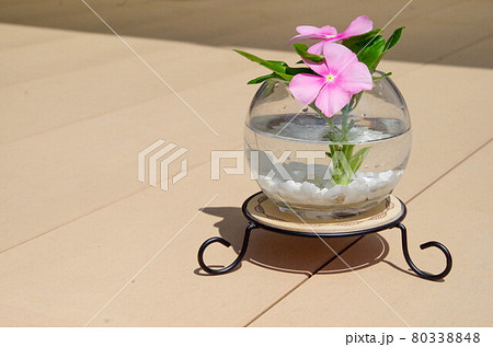 日日草の花瓶 80338848