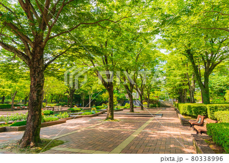 春日井市都市緑化植物園、愛称はグリーンピア春日井〈愛知県春日井市〉 80338996