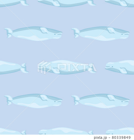 Seamless pattern Beluga on linght blue background. Template of cartoon character of ocean for children. Seamless pattern Beluga on linght blue background. Template of cartoon character of ocean for children. 80339849
