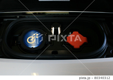 電気自動車の充電コネクター 80340312