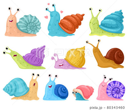 Cartoon snail. Garden snails mascots, cute little gastropods in colourful snail shells cartoon vector illustration set. Cute mollusk characters 80343460