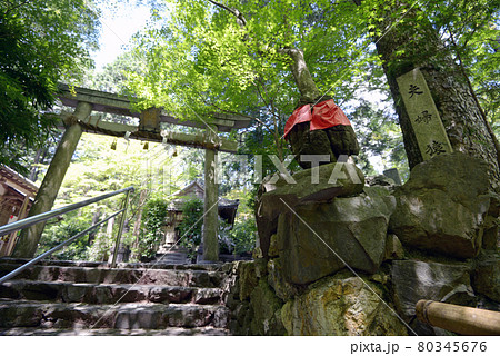 猿丸神社 夫婦猿と鳥居 京都府宇治田原 猿丸神社 夫婦猿と鳥居 京都府宇治田原 80345676