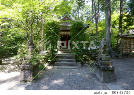 猿丸神社 石猿と拝殿 京都府宇治田原 猿丸神社 石猿と拝殿 京都府宇治田原 80345730