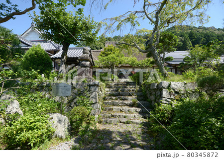 禅定寺　仁王門から境内を望む　京都府宇治田原 80345872