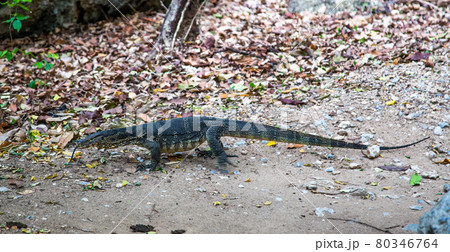 Phraya Nakhon Cave, Khua Kharuehat pavillion temple in Khao Sam Roi Yot National Park in Prachuap 80346764