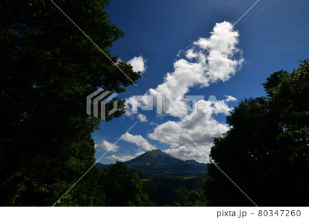 鬼住山からの大山 80347260